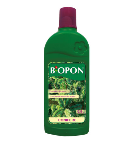 Ingrasamant pentru conifere